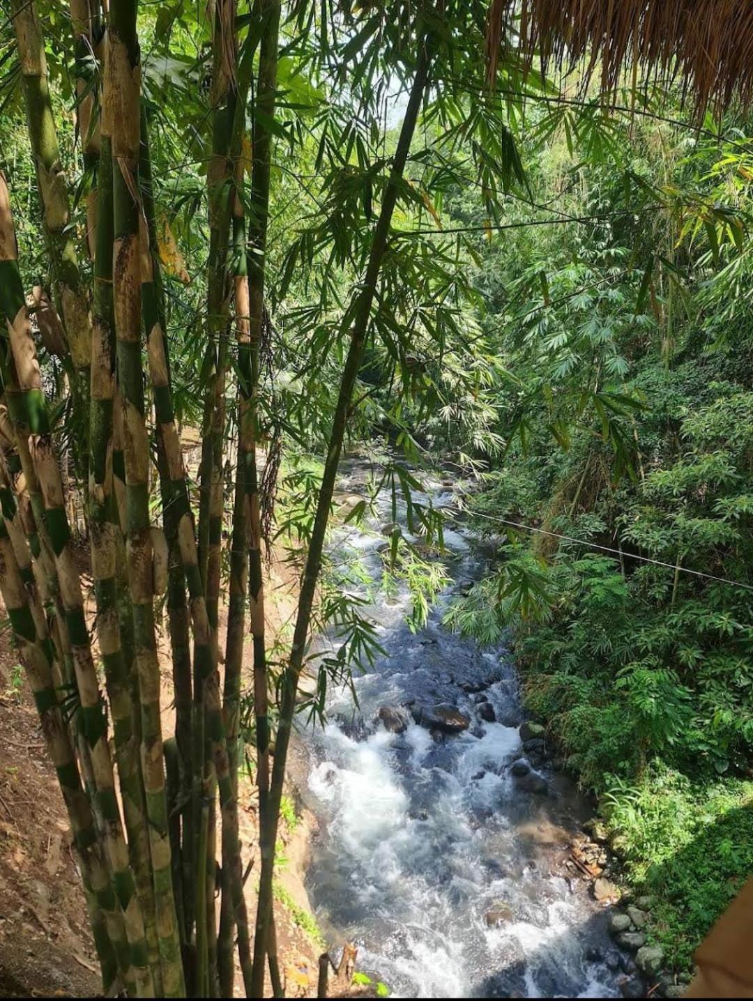 The Osing Bamboo Resort - A Liberta Collection Banyuwangi  Luaran gambar